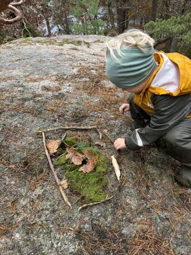 Høstblader, grønne kvister og pinner, blir til et fint bilde